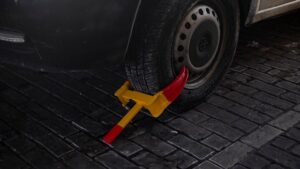 中国製新エネルギー車、海外で車載システムを遠隔ロック　30時間以上機能制限